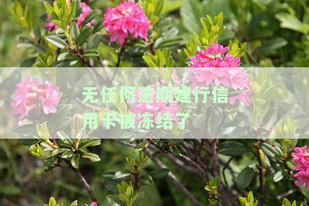 建行无故冻结信用卡，建行被指无故冻结信用卡，用户权益受到侵害