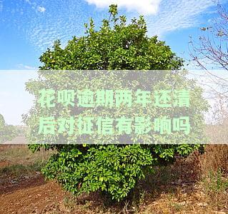 花呗逾期两年还清后有恢复的案例吗，花呗逾期两年后成功还款，账户能否恢复正常？看真实案例解析！