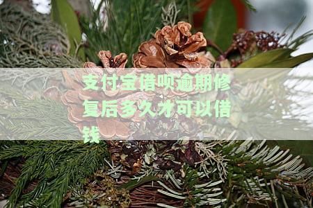 支付宝借呗逾期修复后多久才可以借钱呢，支付宝借呗逾期修复后，多长时间可以再次借款？