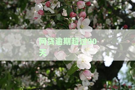 网贷逾期超过90天怎么处理，解决网贷逾期问题：超过90天后应采取的措