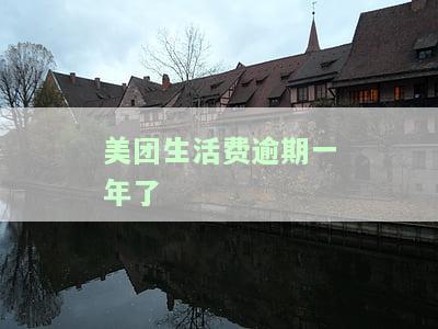 美团生活费逾期一年了，还能住酒店吗？安全吗？逾期一年多、一星期、一个月后会有什么后果？还能继续借款吗？2020年最新规定。