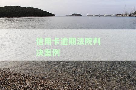 全面解析：2020年信用卡逾期法院判决案例分析