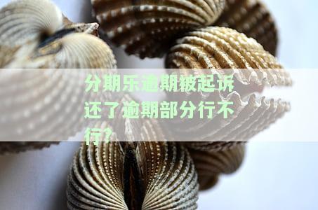 分期乐逾期被起诉怎么办？贷款逾期被起诉立案后如何解决？是否会坐牢？