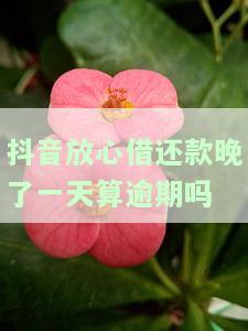 抖音放心借还款晚了一天算逾期吗-抖音放心借还款晚了一天算逾期吗怎么办