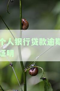 个人银行贷款逾期证明开具方法及注意事