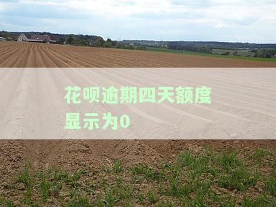花呗逾期四天额度显示为0-花呗逾期四天额度显示为0怎么回事