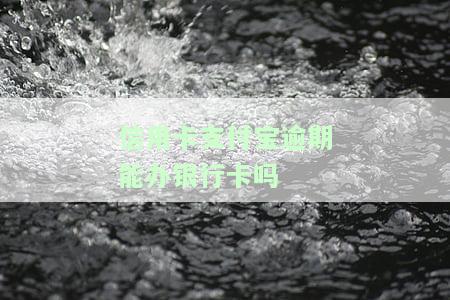 信用卡支付宝逾期能否办理银行卡？安全性如何？