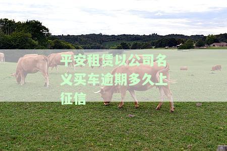 平安租赁以公司名义买车逾期多久上征信，平安租赁：以公司名义购车逾期多久会录入个人征信记录？