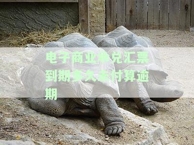 电子商业承兑汇票到期没有收到款怎么办，未收到电子商业承兑汇票到期款的处理方法