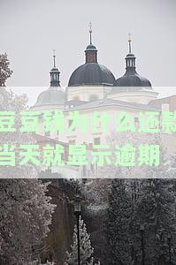 豆豆钱为什么还款当天就显示逾期