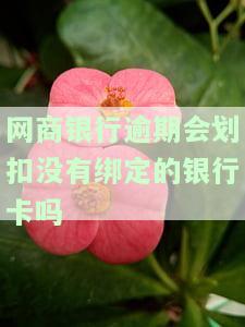 网商银行逾期会划扣没有绑定的银行卡吗，网商银行逾期处理：是否会自动从未绑定的银行卡中扣款？