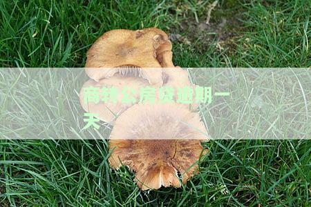 商转公房贷逾期一天算逾期吗？一次逾期后应如何处理？