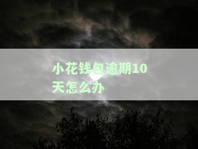 小花钱包逾期多久会被起诉？影响及解决方法全解析