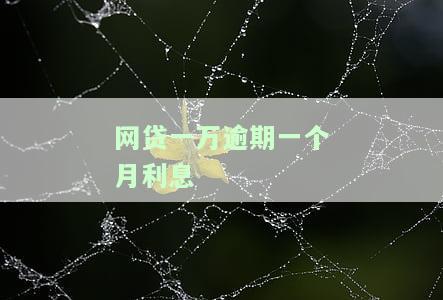 网贷一万块逾期一个月逾期费多少，网贷逾期一月，费用多少？