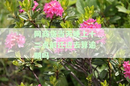 网商贷：当天晚上十二点前还进去算逾期吗？怎么办？