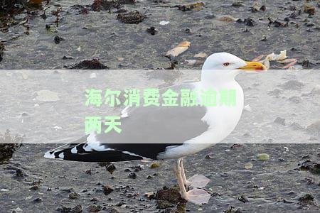 海尔消费金融逾期两天疯狂打电话发短信：真的会起诉并通知亲友吗？