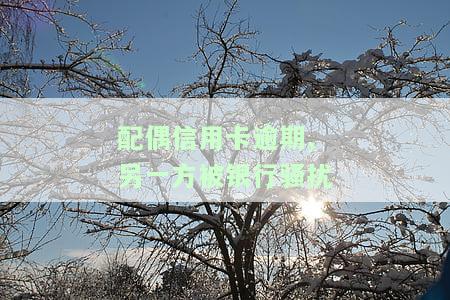 配偶恶意逾期还信用卡，会对自己有何影响？