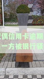 老公欠信用卡，银行有权骚扰妻子吗？影响及应对措