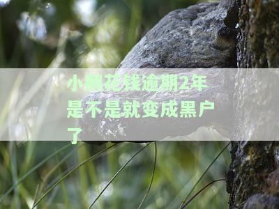 小鹅花钱逾期2年亲身经历：正规借款平台还是骗局？能否协商还款及被起诉后的解决办法