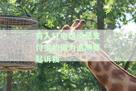 支付宝打电话过来说起诉我了：事实还是恶作剧？该如何应对？
