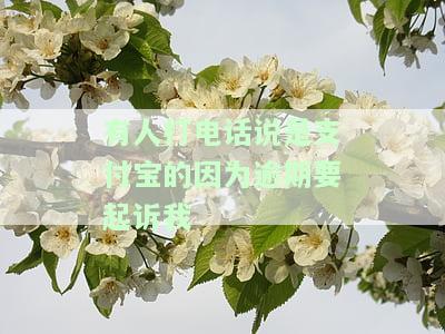 有人打电话说是支付宝的因为逾期要起诉我-有人打电话说是支付宝的因为逾期要起诉我是真的吗