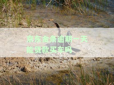 京东金条逾期一天能否贷款买车？安全性与可靠性如何？会对贷款产生影响吗？还款后是否还能借款？逾期一天是否会导致无法再次借款？