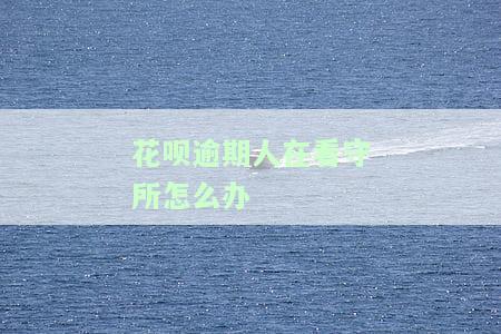 人在看守所花呗逾期了,会有什么后果，人在看守所，花呗逾期会产生哪些后果？