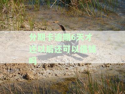 办分期逾期几天后还款有影响吗，逾期几天还清分期付款会有影响吗？