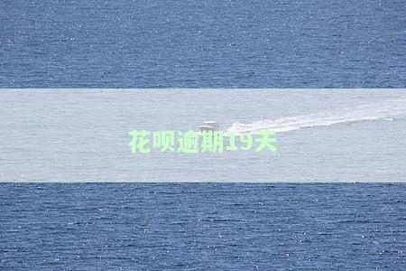 花呗逾期19天，限制使用后如何解禁？