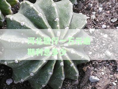 河北银行一万一年利息，了解河北银行存款利率：一万元存一年的利息是多少？