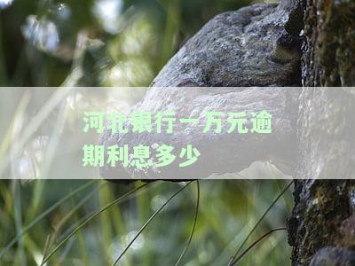 河北银行一万元逾期利息多少-河北银行一万元逾期利息多少钱