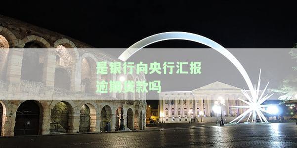 银行向央行借款叫什么，什么是银行向央行借款？详解其定义与操作方式