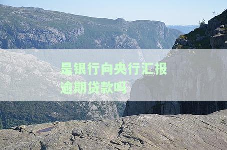 各银行对逾期报送的规定及报告撰写要求