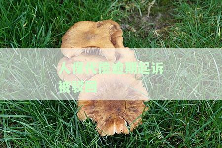 人保代偿起诉后会退保费么，人保代偿起诉后，是否会退还保费？