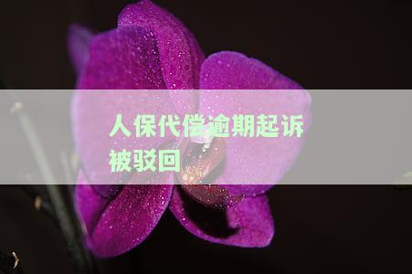 人保代偿逾期起诉被驳回-人保代偿逾期起诉被驳回怎么办