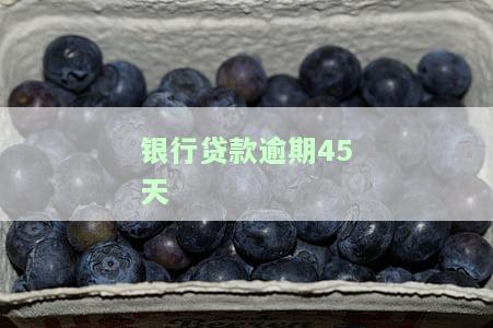 银行贷款逾期60天不超过90天，逾期还款警示：银行贷款60-90天未还，影响信用记录！