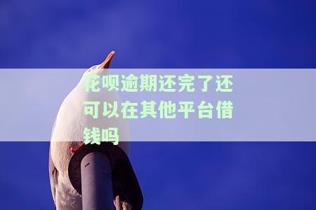 花呗逾期还完了还可以在其他平台借钱吗-花呗逾期还完了还可以在其他平台借钱吗