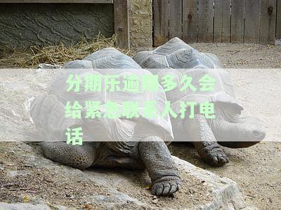 分期乐逾期多久会给紧急联系人打电话-分期乐逾期多长时间会给紧急联系人打电话