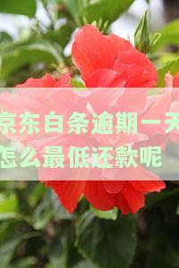 还一天是否会影响征信？后果是什么？