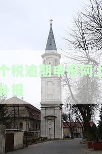个税逾期申报网上补报怎么办，如何在网上进行个税逾期申报的补报？
