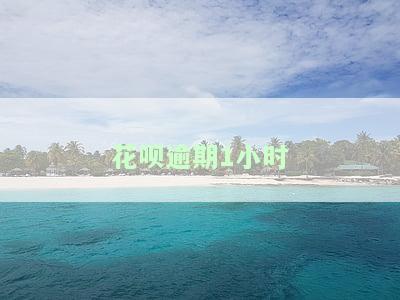 花呗逾期1小时严重吗？影响大吗？还清后对征信有影响吗？