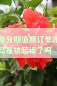 来分期逾期显示订单已冻结：原因及解决办法