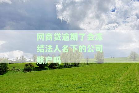 网商贷逾期了会冻结法人名下的公司账户吗安全吗，网商贷逾期会影响法人名下公司账户吗？安全性如何？
