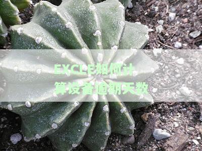 计算逾期天数函数：从逾期开始日期到当前日期的天数、逾期金额计算及超期日期距离今天的时间