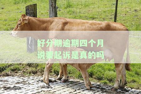 逾期了几个月会怎么样，逾期几个月：会对您产生什么影响？