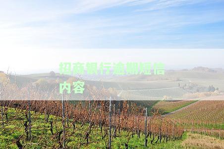 招商银行短信说信用卡逾期，警惕！收到招商银行短信提示信用卡逾期，及时处理避免不良记录