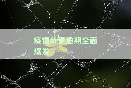 疫情负债逾期全面爆发,国家政策，疫情冲击下的债务逾期问题：国家政策如何应对？