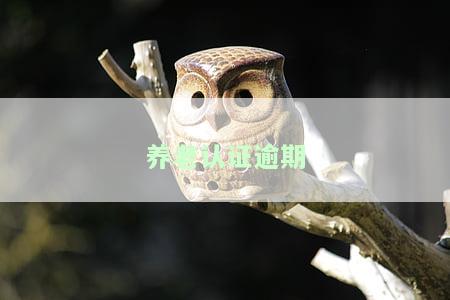 养老认证逾期后认证完能否补发？如何解决？