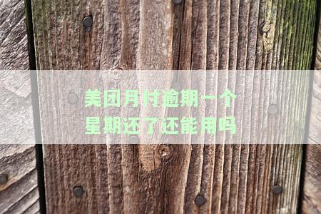 美团月付逾期一个星期还了还能用吗-美团月付逾期一个星期还了还能用吗安全吗