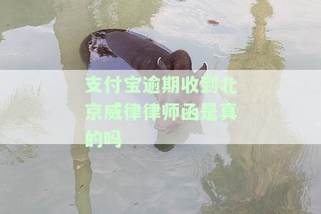 支付宝逾期发信息说有律师函送过来是真的吗，支付宝逾期：收到信息称将发送律师函，是否真实？